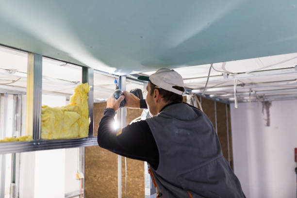 Best Commercial Insulation in St Croix Falls, WI